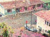Costa Rica Covered Flower Petals Pictures