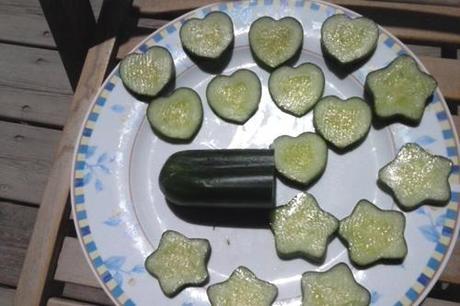 Ein Yahav grows wacky cucumbers