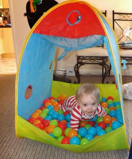 Tyne's 1st Birthday Tyne's 1st Birthday