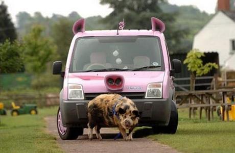 The World’s Top 10 Most Amazing Animal Themed Vehicles