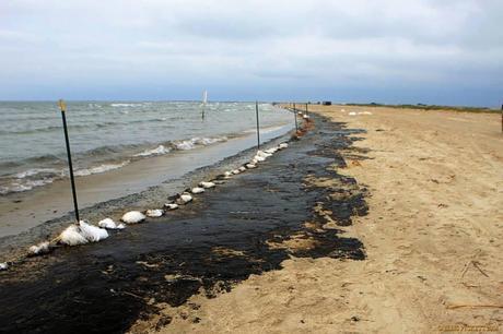 Oil washes up on the banks of the ship channel in the Gulf of Mexico