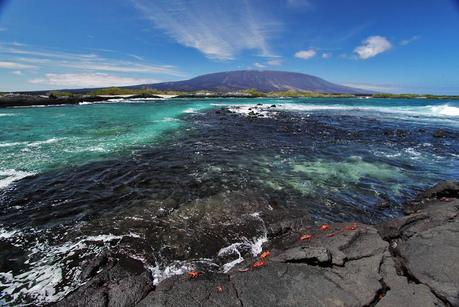 Galapagos Islands pictures