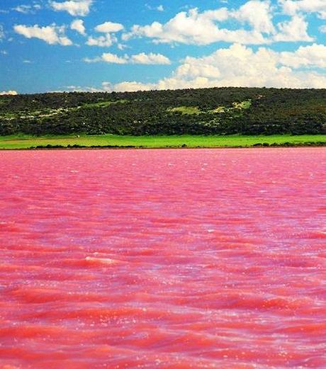 pink lake pictures