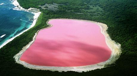 pink lake pictures