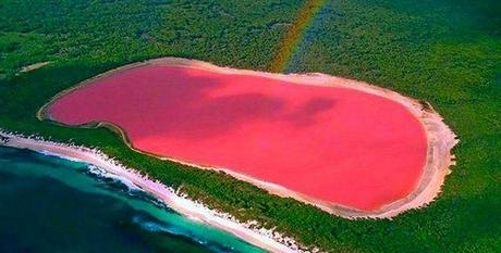 pink lake pictures