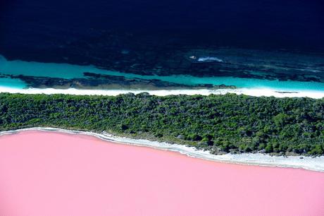 pink lake pictures