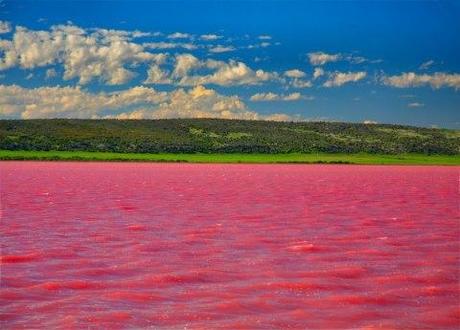 pink lake pictures