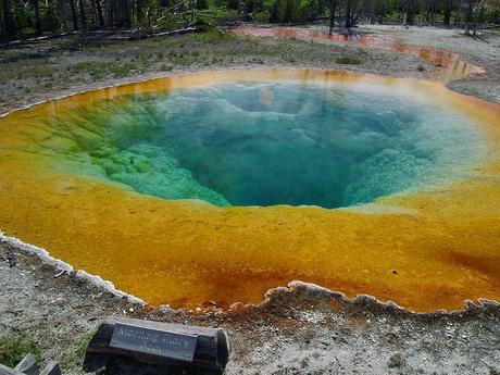 Yellowstone park pictures