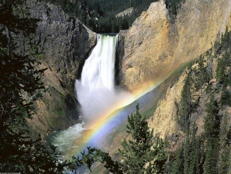 Yellowstone park pictures