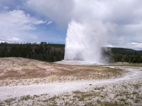 Yellowstone park pictures