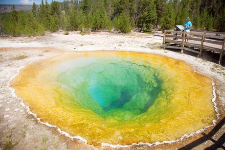 Yellowstone park pictures