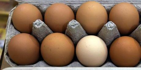 USDA: Selling Out Organic to Protect Five Factory Farms