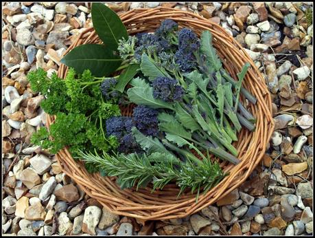 Harvest Monday - 31 March 2014