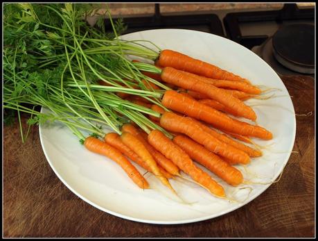 Carrots - protective measures in smaller scale