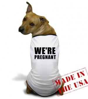 pregnant dog