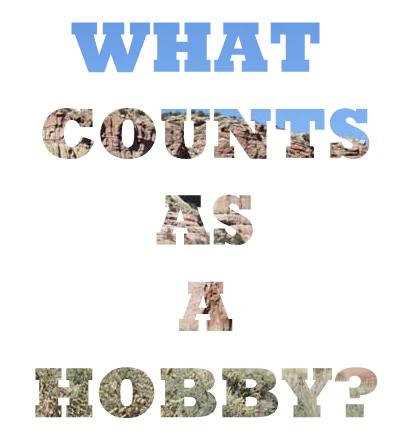 WHAT COUNTS AS A HOBBY NZMUSE