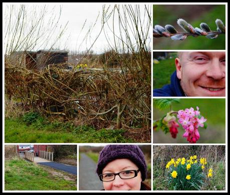 Another collage from day 2 - 'growourown.blogspot.com' ~ allotment blog