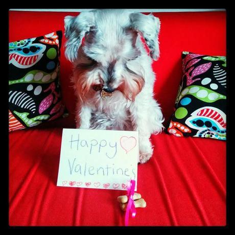Happy Valentines Day x