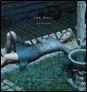 TheWell-DBD-copy-32290