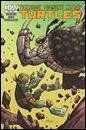 TMNT35-cvr-copy-37e07