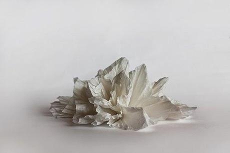 paper | paper humidifier