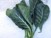 Collard Greens