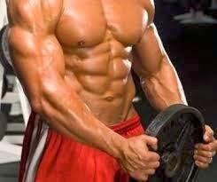 Body Building Schedule - How to Organize Lifting Sessions