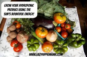 Grow Your Hydroponic Produce Using the Sun's Bountiful Energy! | LazyHippieMama.com
