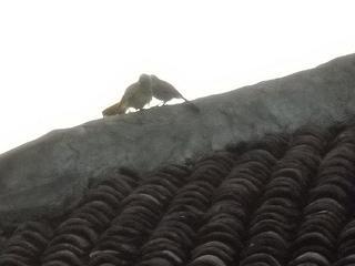 There and back again