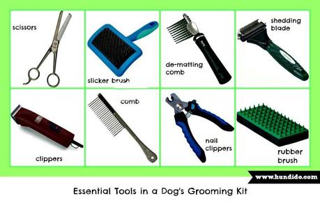 essential dog grooming tools