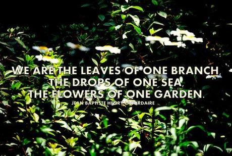 Gardening quotes