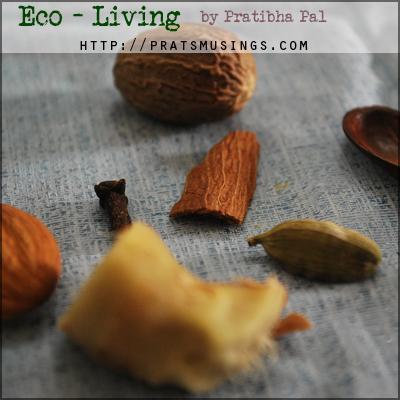 eco-living vidya sury