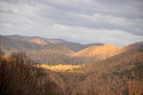 Evening Light in the East