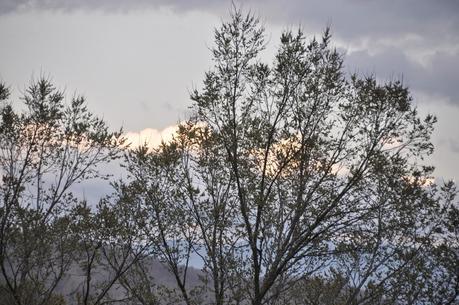 Evening Light in the East