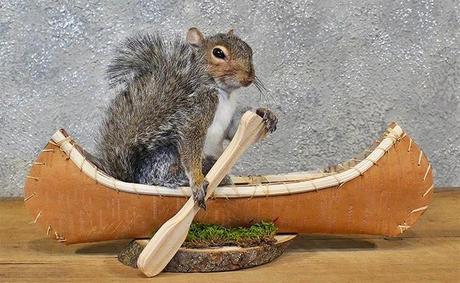 Now you'll want this taxidermy squirrel