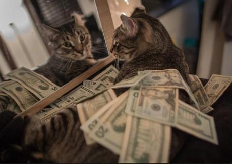 The World’s Top 10 Best Images of Cats With Money