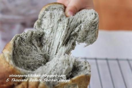 5 Thousand Dollars Starter Dough Bread Recipe (五千元的老式面包)
