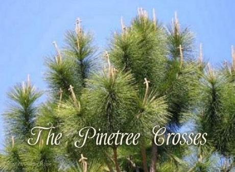 pinetree crosses