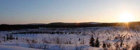 A clear-cut area is seen in Canada's Broadback Valley, one of the last remaining virgin boreal forest of Quebec, on March 12, 2014. The Indian Cree community of Waswanipi, Canada is fighting to protect 13,000 square kilometers of forest north of their village in the Broadback Valley from the logging industry that keeps pushing its way further north. Photo by Clement Sabourin/AFP