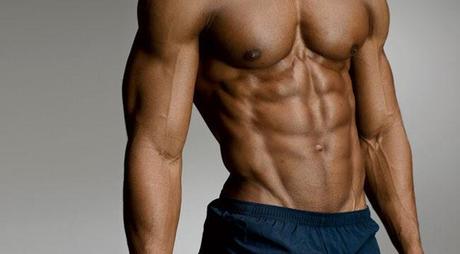 abdominal muscles