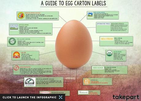 understandingegglabelspromolaunch promoss Confused About Egg Carton Labels? 