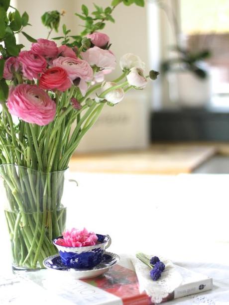 Pink Ranunculus