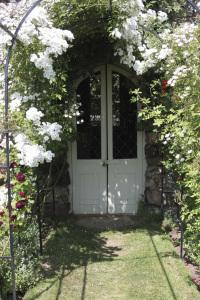 Folly with Rambling rector rose