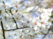 Beers Ahoy! It’s National Beer Day!