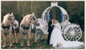 dream wedding