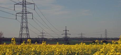 A rape field and pylons in Kent county, UK