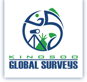 Kinosoo Global Surveys