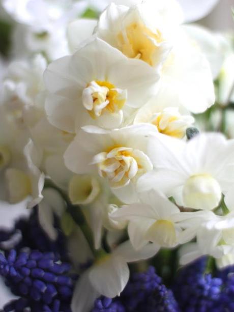 Narcissi Bridal Crown