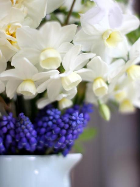 Narcissi Silver Chimes