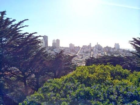 A Peak At San Fran